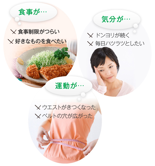 ビューティーグルカン 3点セット はなびらたけ粒LB-Scr トライアルセット-[ビューティーグルカン]