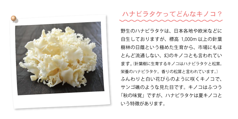 女性に嬉しいITはなびらたけ。そんな悩める女性に知ってもらいたいと健康や美容で注目されている素材が「ITはなびらたけ」です。生産メーカー(株)インタートレードのオリジナル品種である「※ITはなびらたけ」は※産学官一体となあった分子・細胞レベルの研究により、女性に大切なサイレント型エストロゲン様活性が含まれていることが証明されています。※ITはなびらたけのメーカーであるインタートレードの略称です。※国立研究開発法人産業技術総合研究所、学校法人東京女子医科大学、株式会社インタートレード