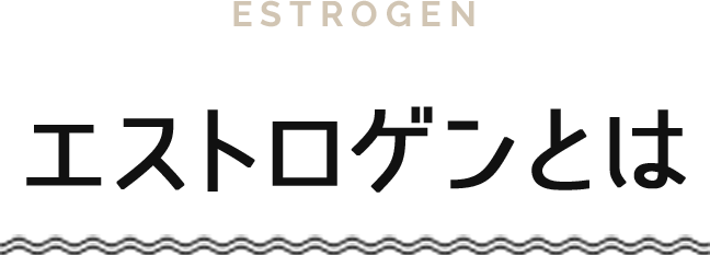 ESTROGEN エストロゲンとは