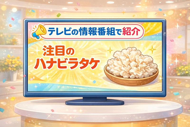 テレビに紹介されたイメージイラスト