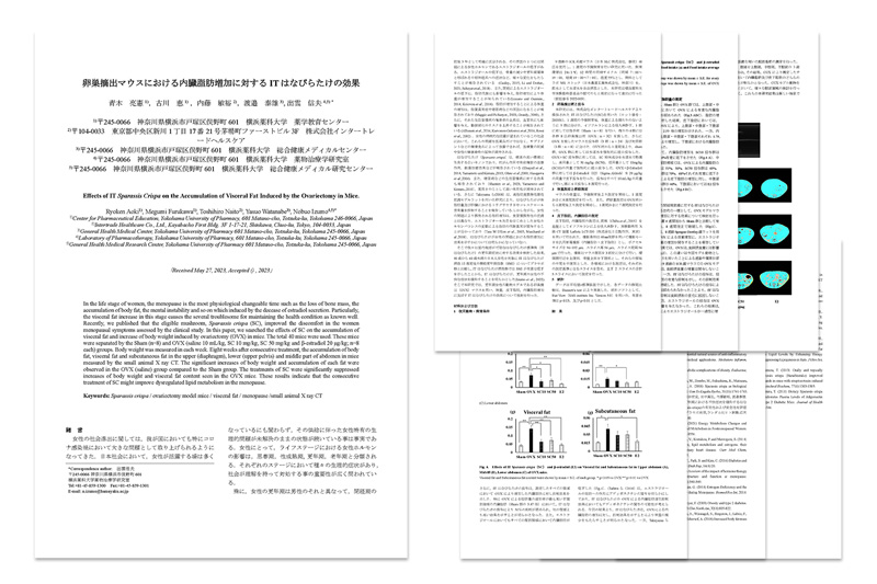 卵巣摘出マウスにおける内臓脂肪増加に対するITはなびらたけの効果